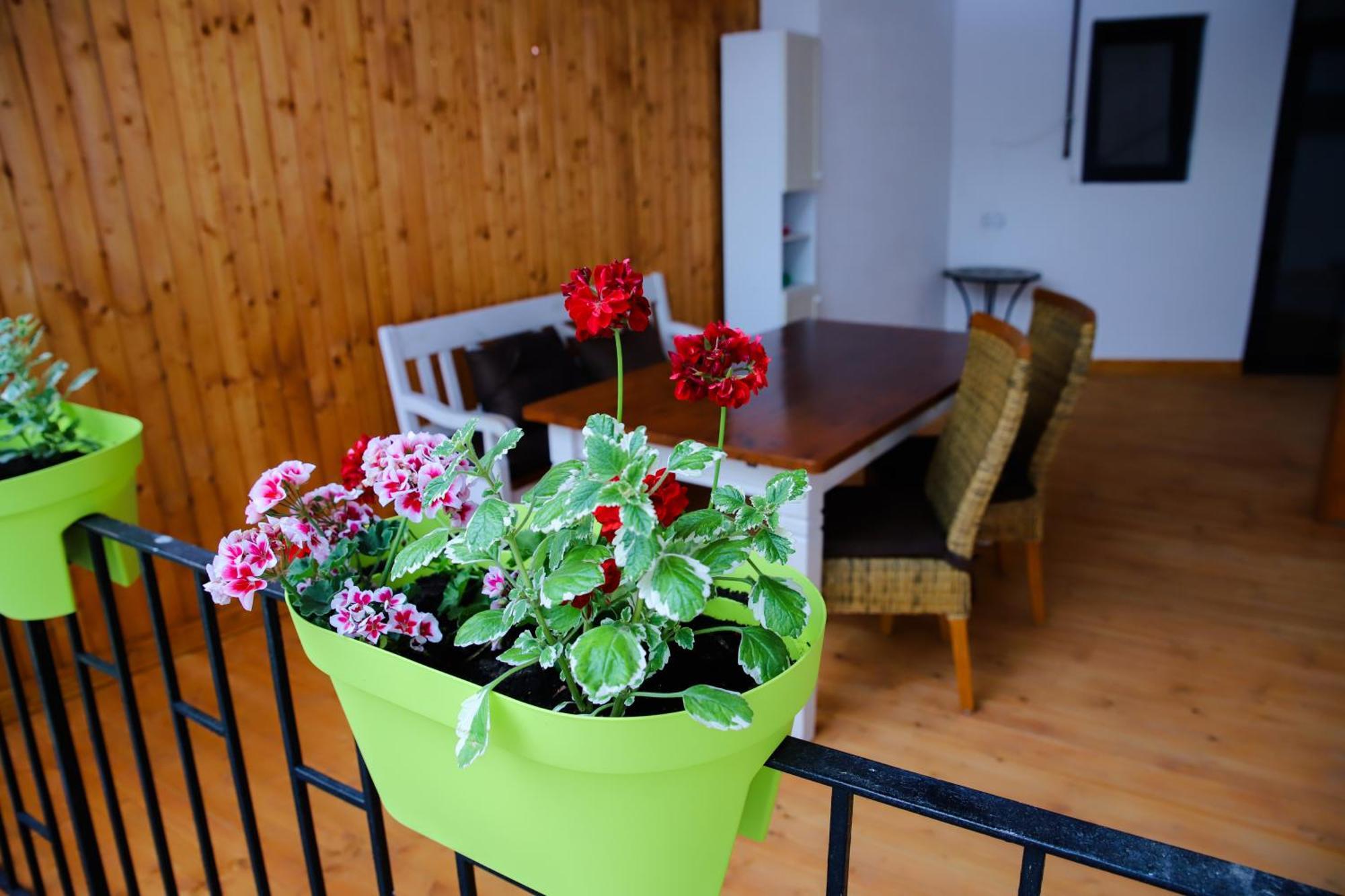Floasiu Residence Guesthouse 시비우 외부 사진